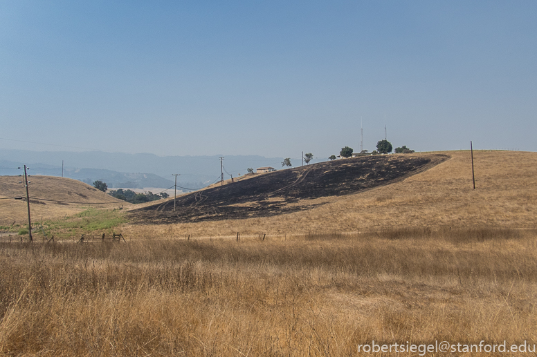 stanford dish 2017